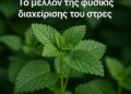 Μελισσόχορτο και υγεία